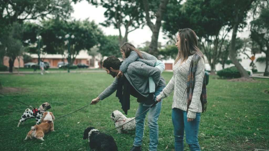 A family in a dog park with dogs on leash. One dog is pulling the man forward.
