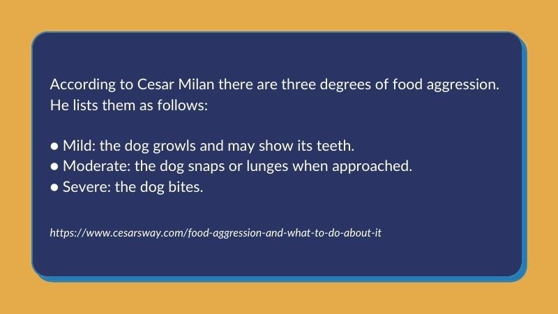 Graphic featuring information about food aggression and resource guarding from Cesar Milan