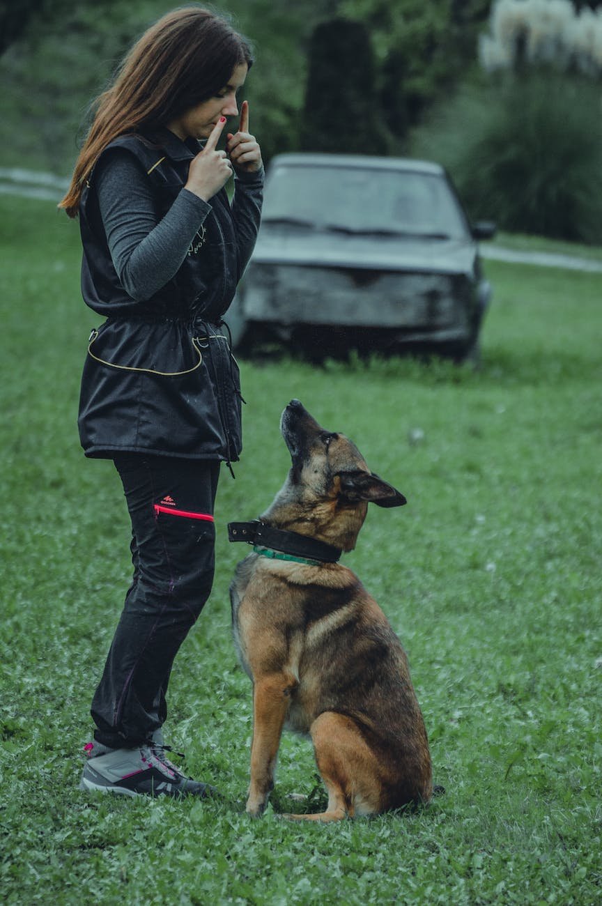 a woman training a dog