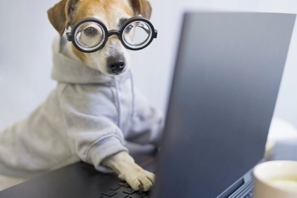 Funny image of a cute little dog wearing big round glasses sitting in front of a laptop