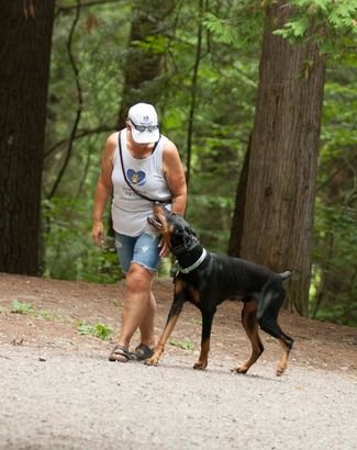 about turner and pooch ineke and dante