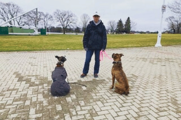 services mini grid polite pooch (1)