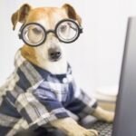 turner and pooch canine behavior blog image