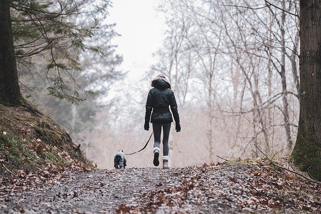 No-Nonsense Loose Leash Blueprint