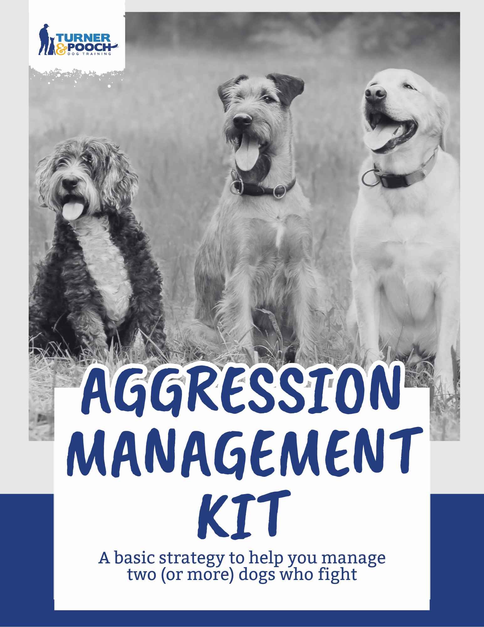 Aggression Management Kit